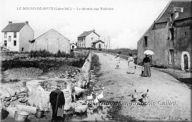 1374 Le Bourg-de-Le chemin aux Violettes