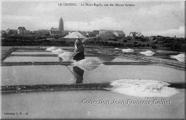 «Le Croisic - Le Mont-Esprit, vue des Marais Salants»... s'est dissous dans l'eau des œillets.