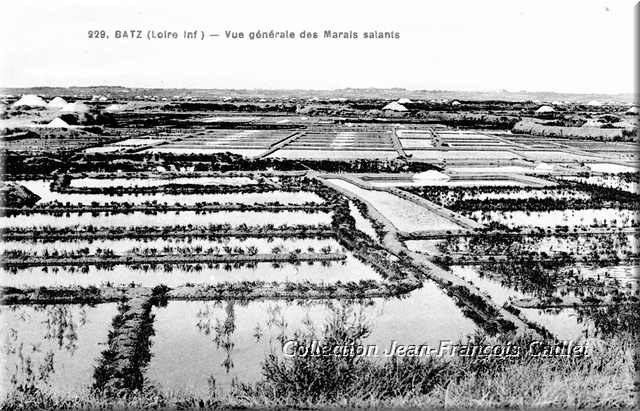 229. Batz (Loire Inf.) - Vue générale des Marais salants