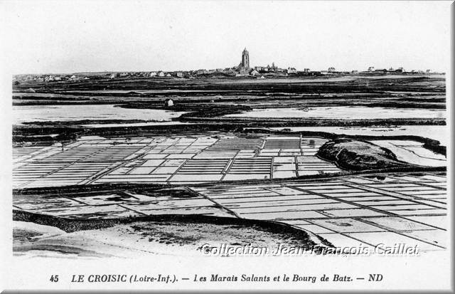 45 Le Croisic (Loire-Inf.). - Les Marais Salants et le Bourg de Batz