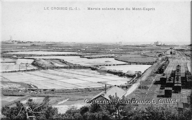 Le Croisic (L.-I.). - Marais salants vus du Mont-Esprit