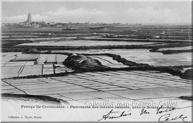 Presqu'île Croisicaise.- Panorama des marais salants, vers le Bourg-de-Batz